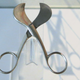 Illustration for article titled The Extraordinary Evolution of Scissors